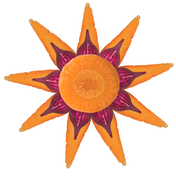 Simply Veg Sun