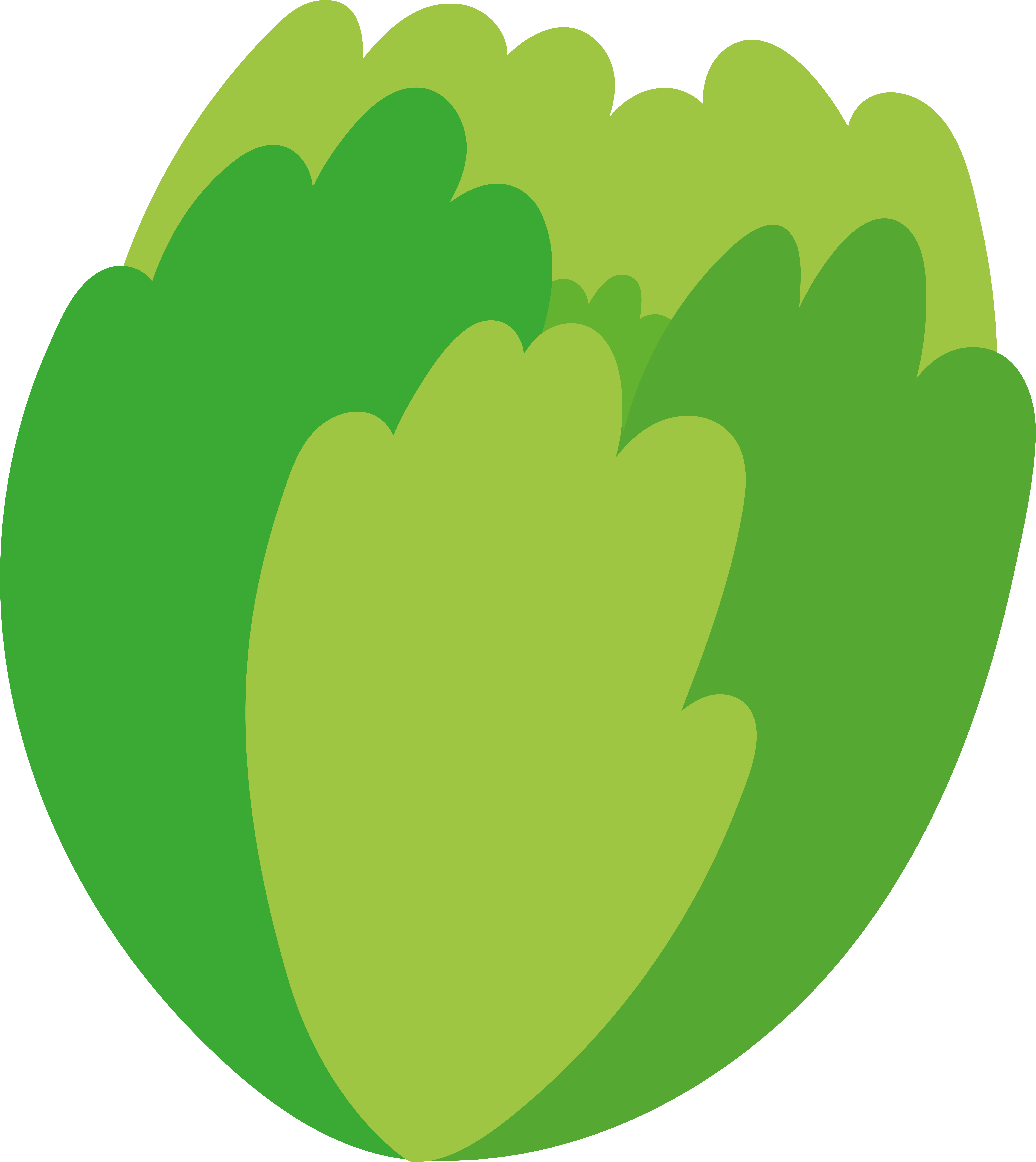 Lettuce_Full icon