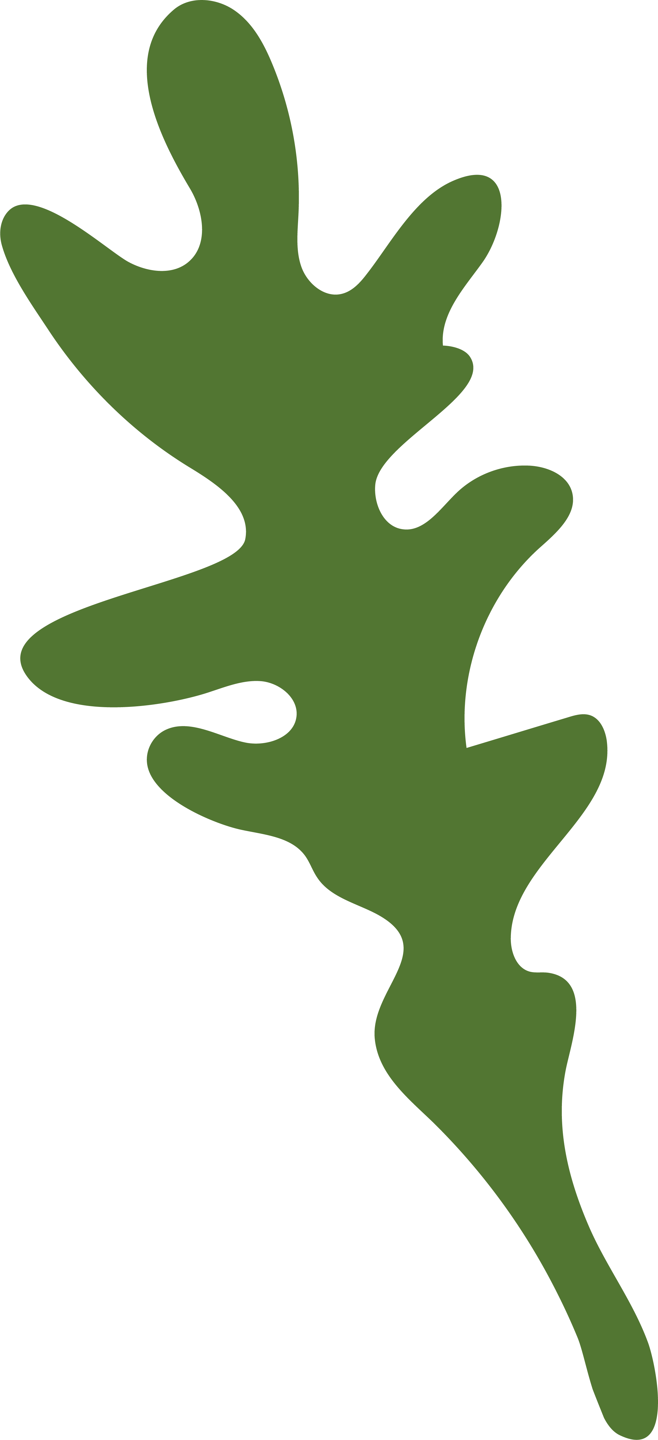 Rocket icon