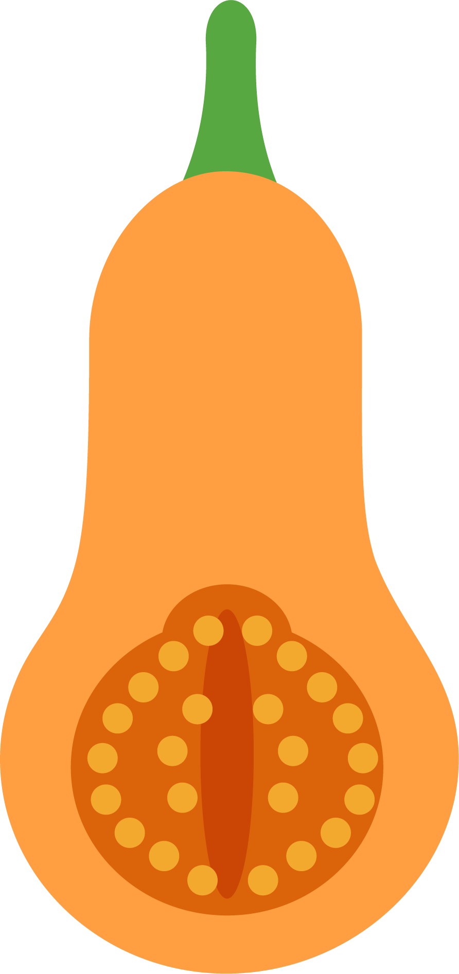 butternut squash icon
