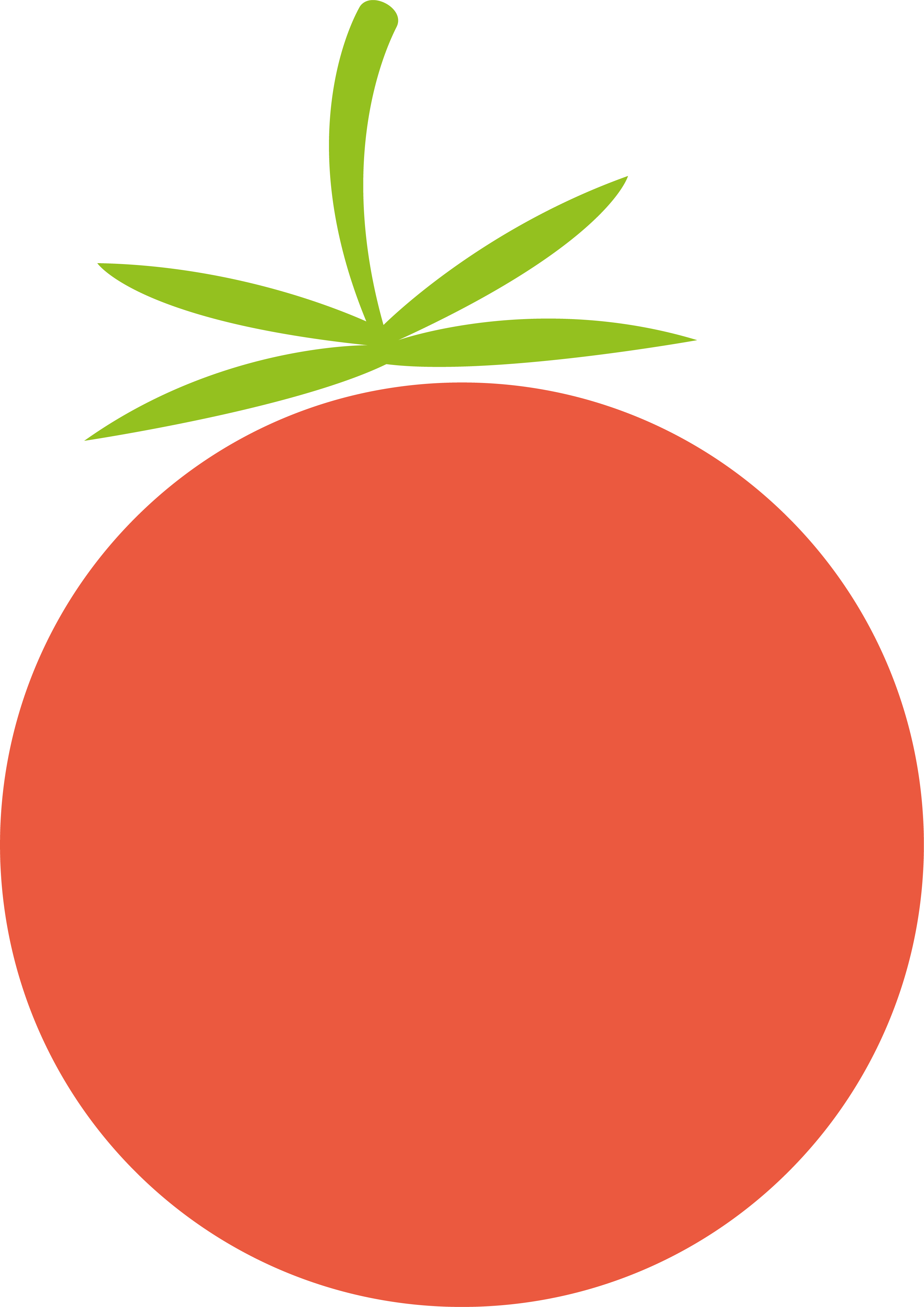 Tomato  icon