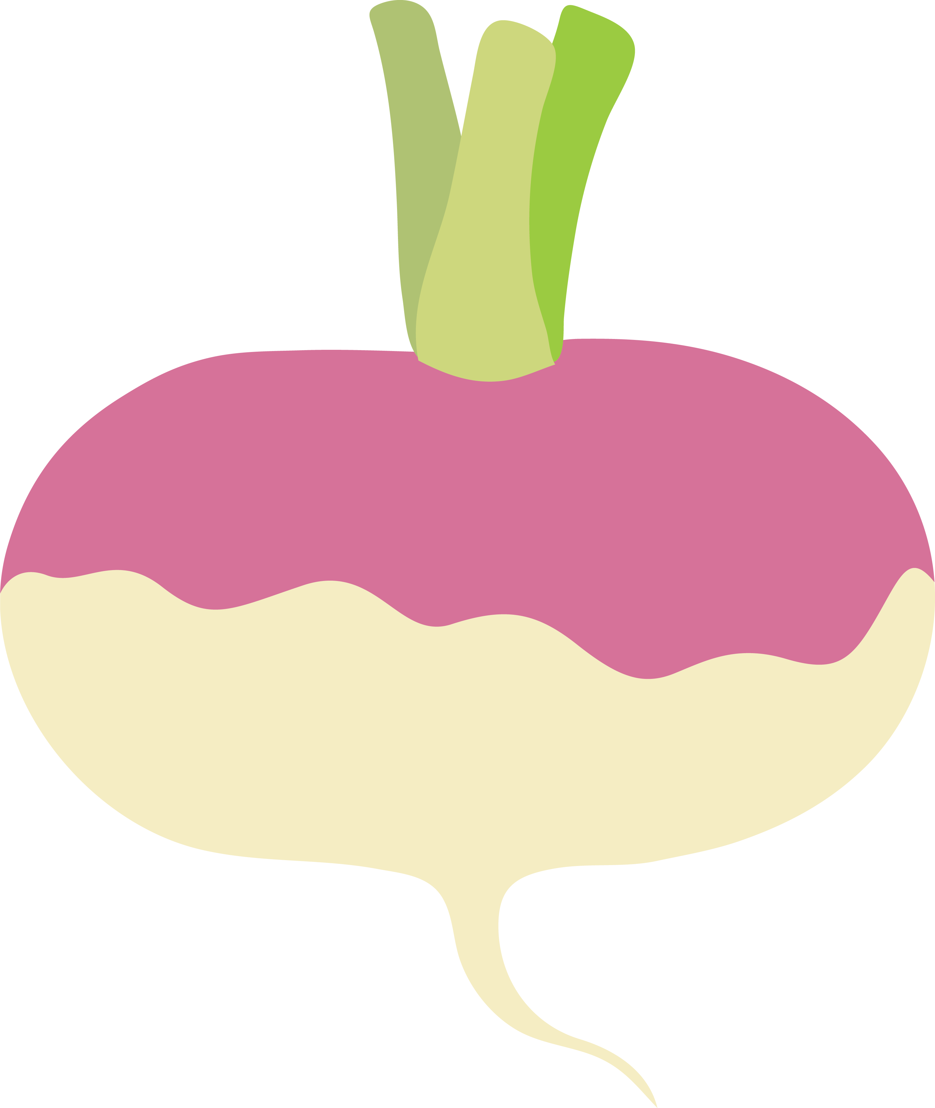 Turnip icon