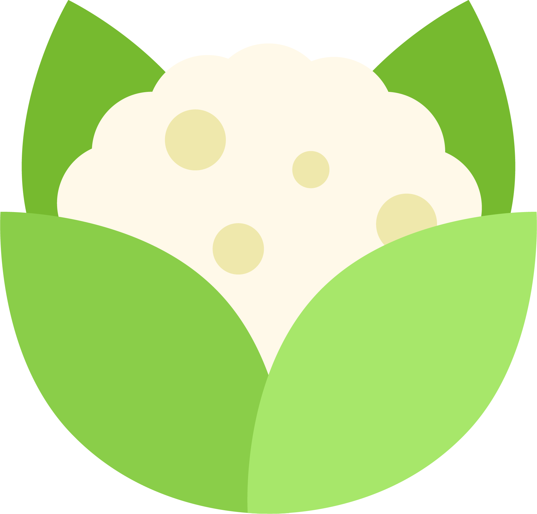 cauliflower