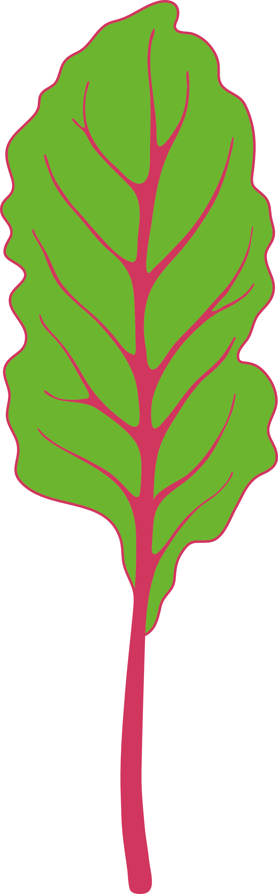 chard icon