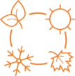 eatwithseasons_0010_eat-with-seasons---orng  icon