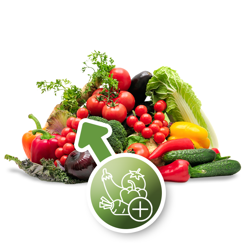 vegselector-icon