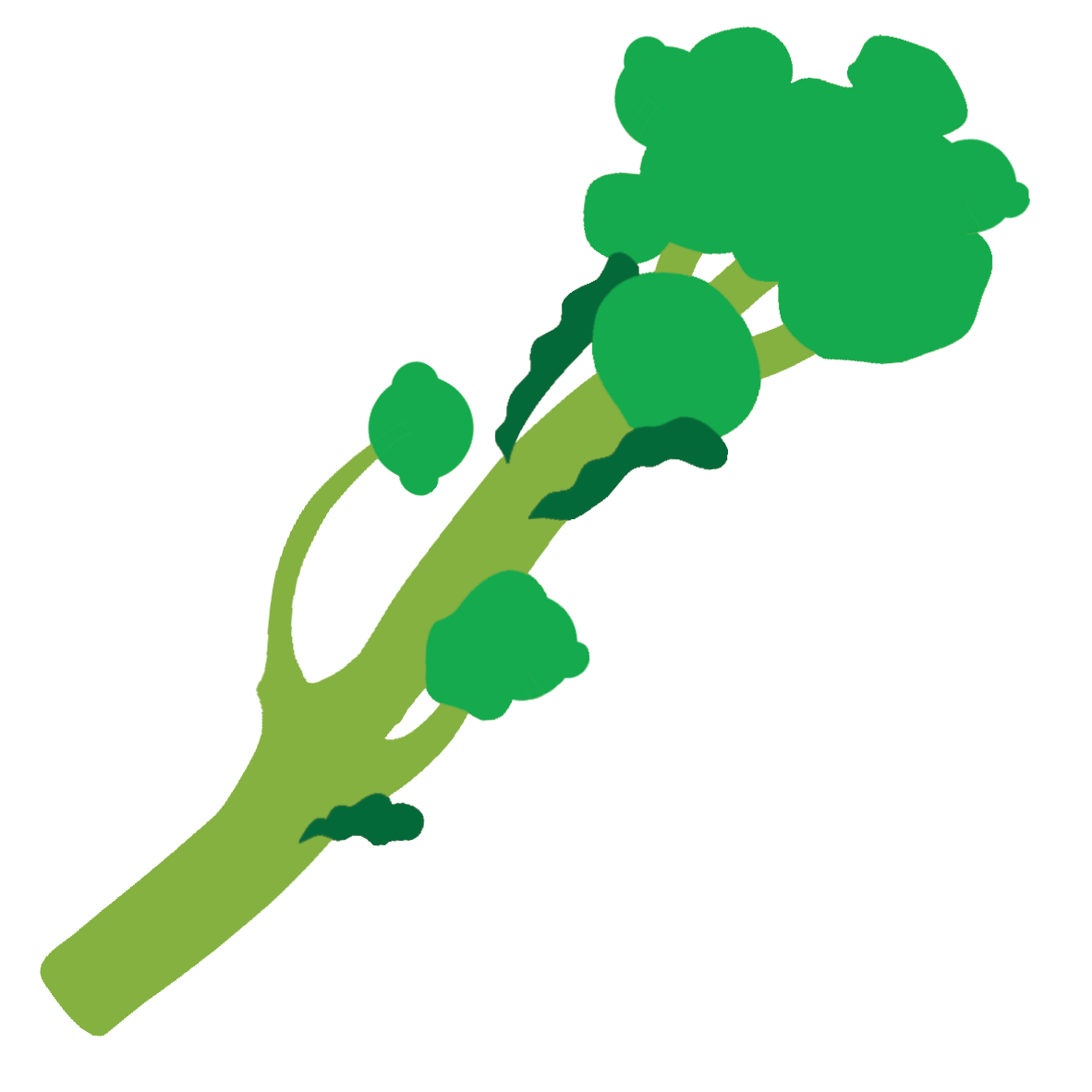 Tenderstem-Broccoli