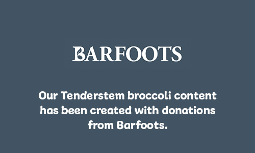 barfoots-spons-mob